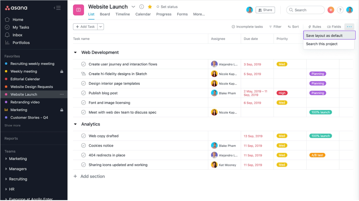 Asana_Project Cycle Management Tools