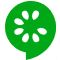 Cucumber Cucumber