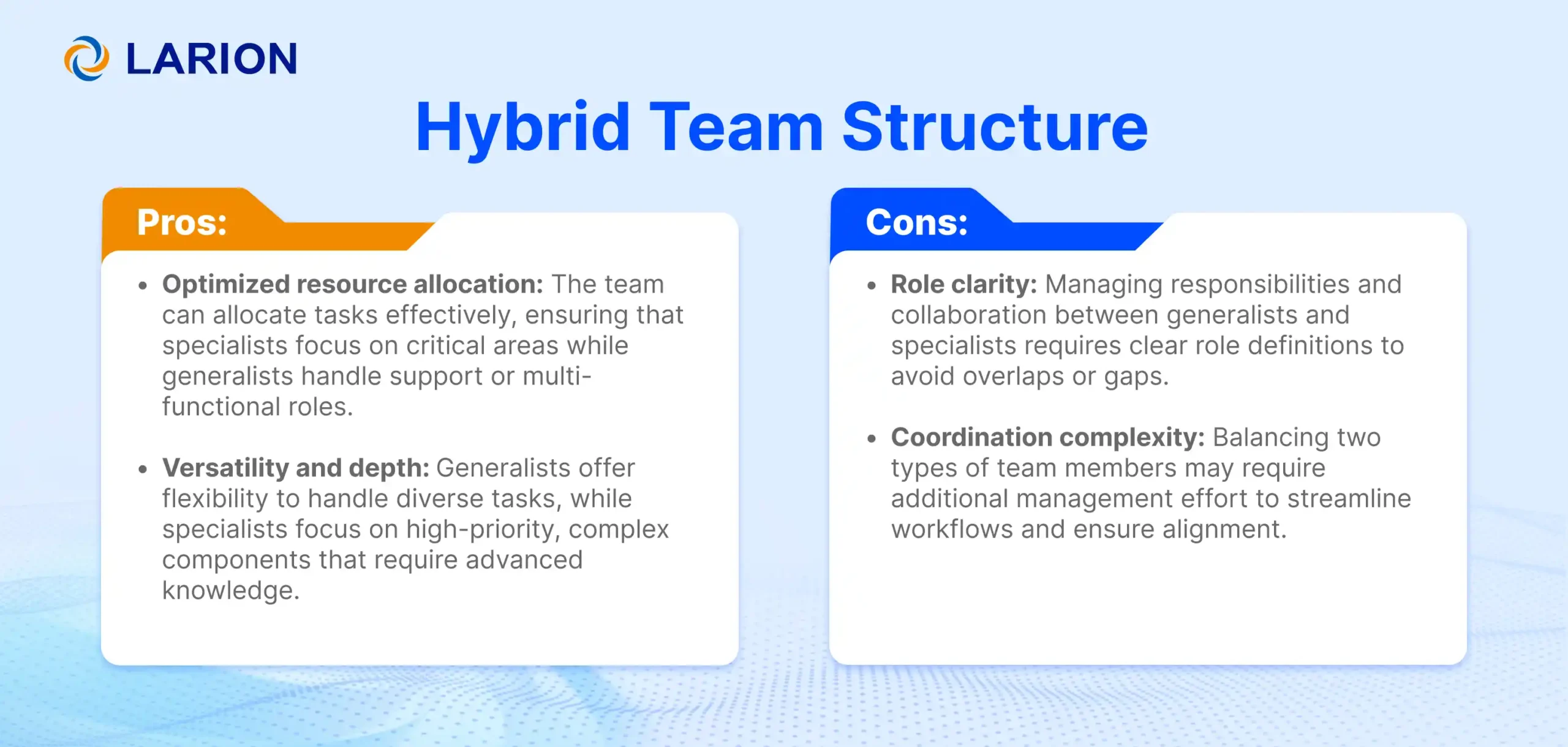Hybrid team structure